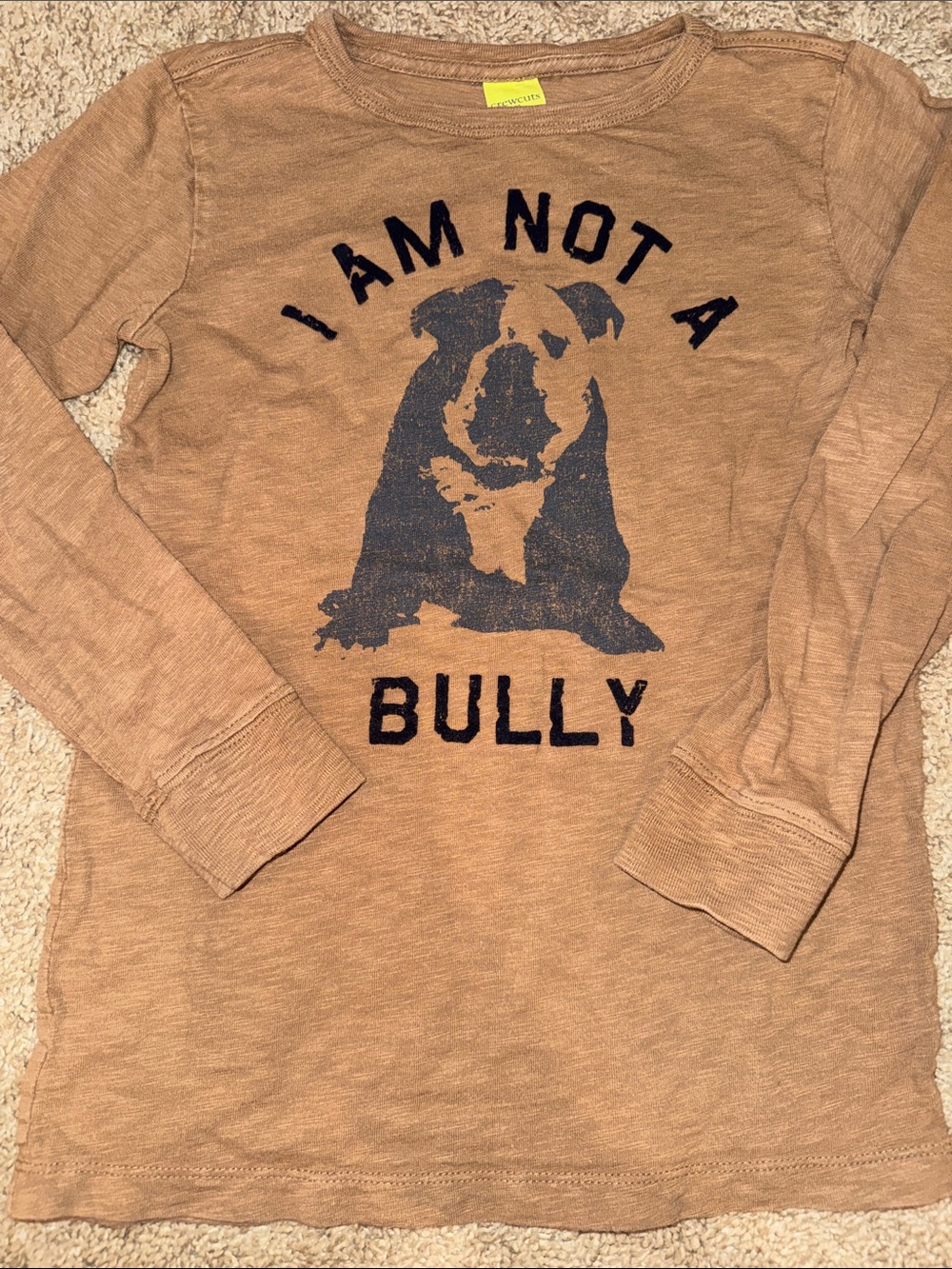 Crewcuts Tan Long-Sleeve 'I Am Not A Bully' Graphic Tee